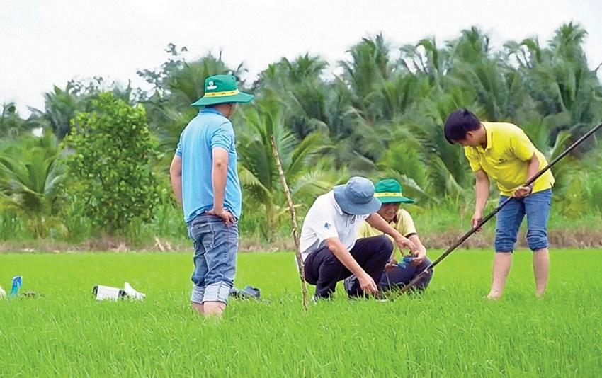 khảo sát đặc tính đất ruộng trước khi cải tạo cho cây ăn quả